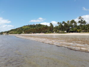 Praia litoral nordeste brasileiro, Japaratinga.