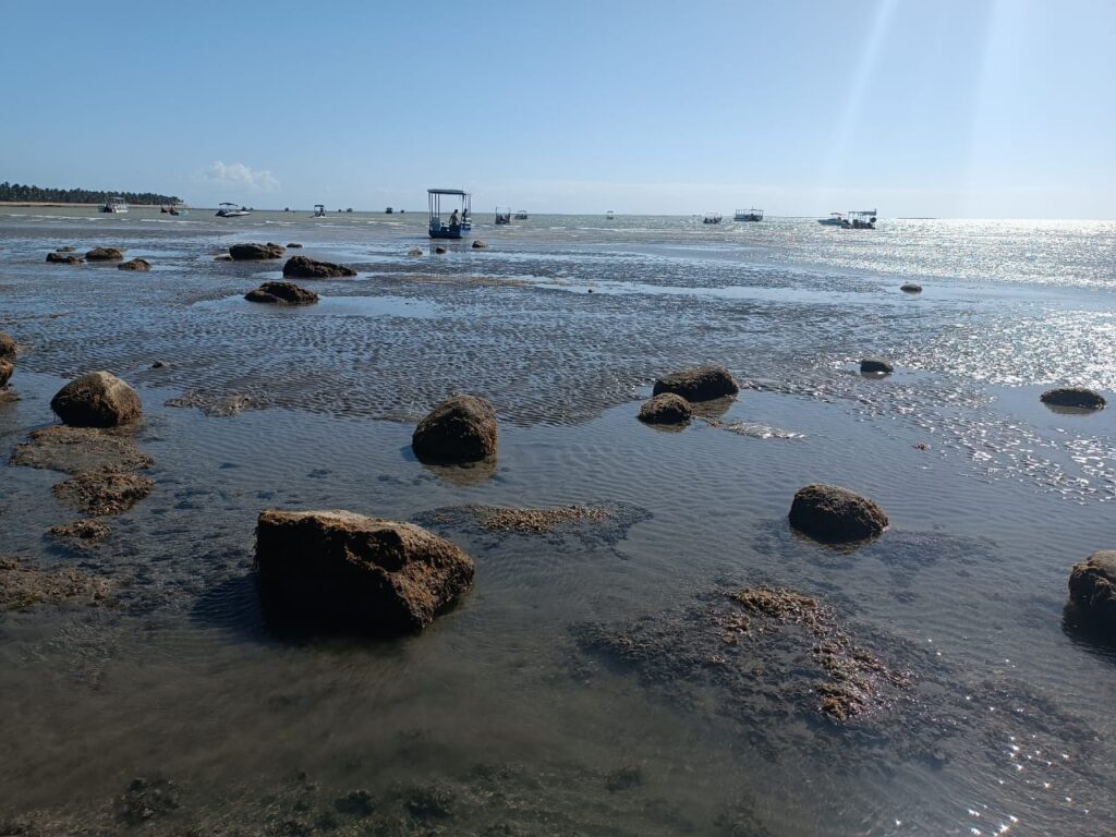 Foto da praia de Japaratinga em dia de maré quase negativa.